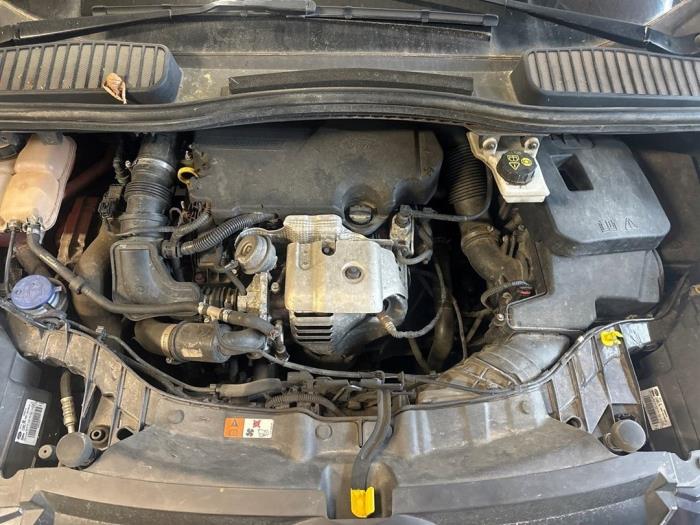 Moteur Ford Focus – M1DA – Occasion