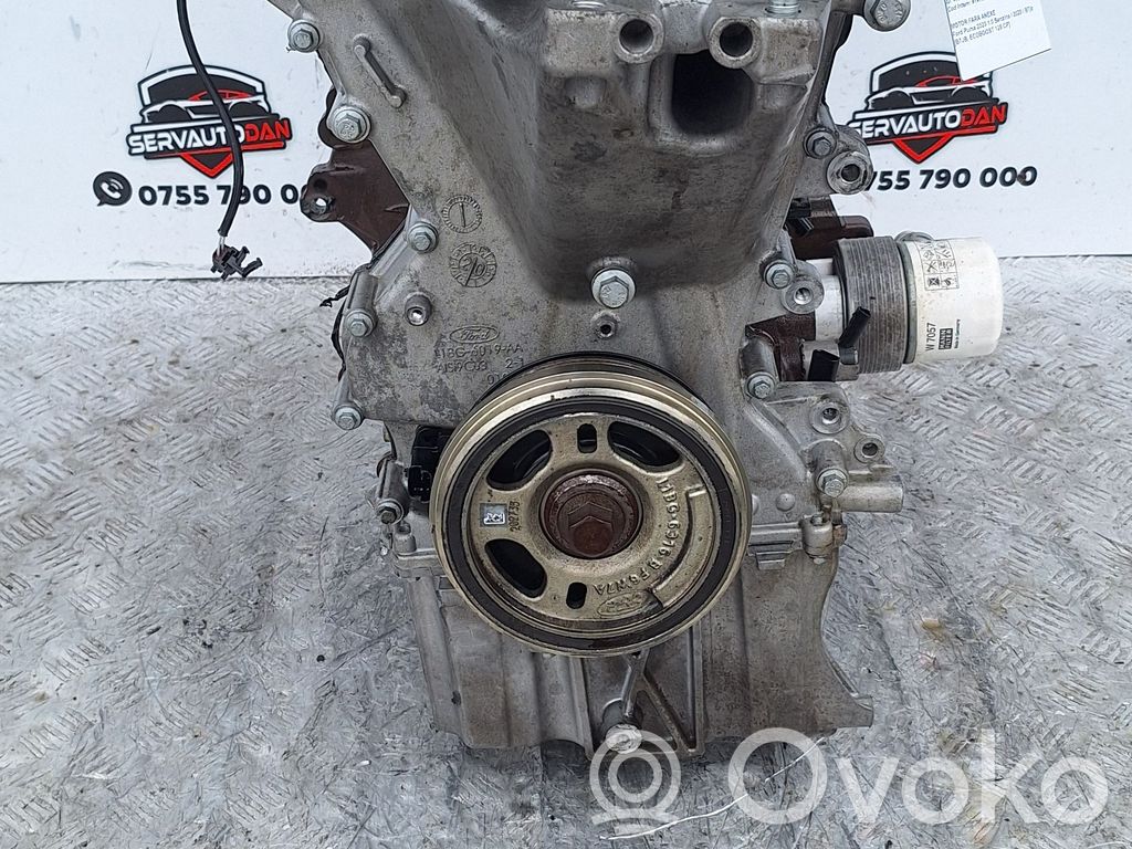 Moteur B7JB 1.0 Essence FORD Puma – Occasion Complet Garanti