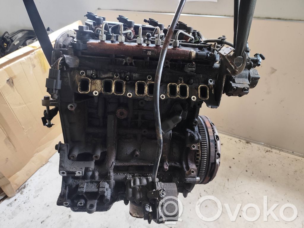Moteur CYF5 2.2 Diesel FORD Transit – Occasion Complet Garanti