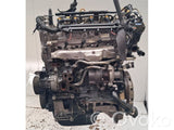 Moteur 188A8000 Diesel FIAT Panda III – Occasion Complet Garanti