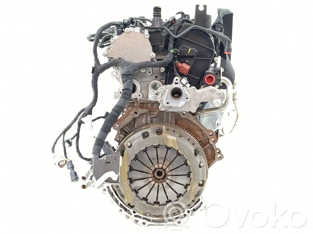 Moteur B7JB 1.0 Essence FORD Fiesta – Occasion Complet Garanti