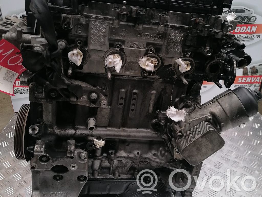 Moteur HHDA 1.6 Diesel FORD Focus – Occasion Complet Garanti