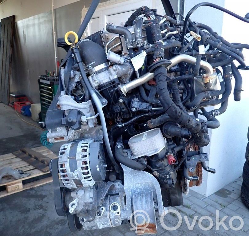 Moteur CXF Diesel VOLKSWAGEN Transporter - Caravelle T6 – Occasion Complet Garanti