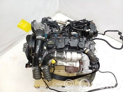 Moteur GM5Q6006AAMOTORE 1.5 Diesel FORD Fiesta – Occasion Complet Garanti