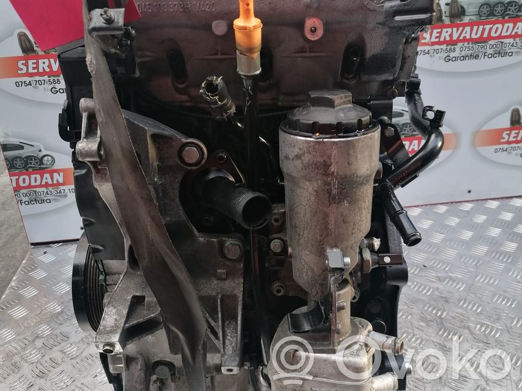 Moteur AMF 1.4 Diesel VOLKSWAGEN Polo – Occasion Complet Garanti