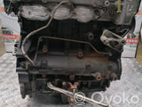 Moteur 1C1Q 2.0 Diesel FORD Transit – Occasion Complet Garanti