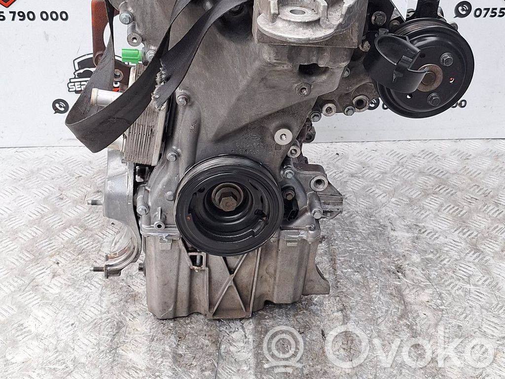 Moteur SFJD 1.0 Essence FORD Fiesta – Occasion Complet Garanti