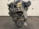 Moteur Ford Focus – T1DB 1.6L – Occasion
